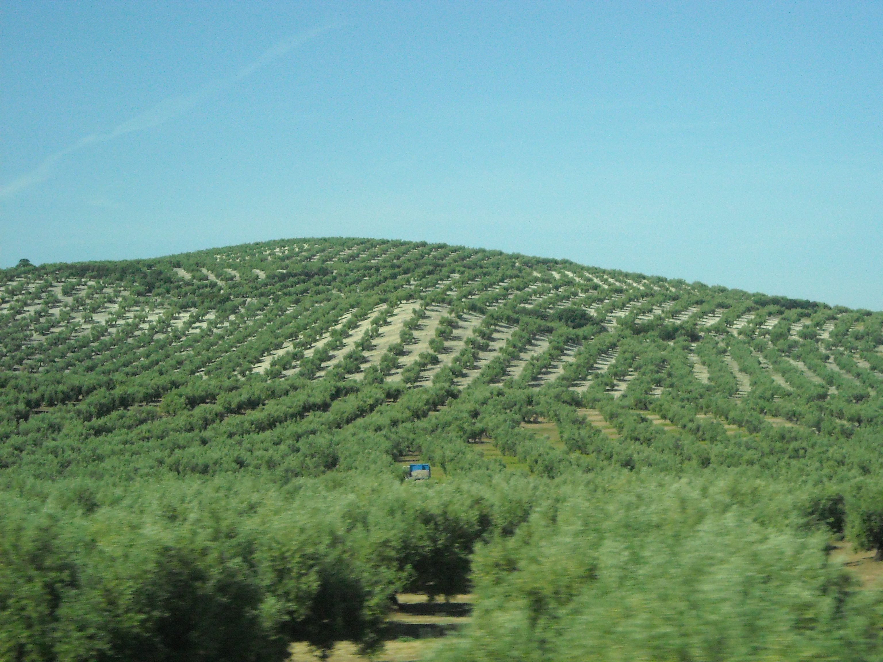 fotos de  espa&ntilde;a de mama 174.jpg