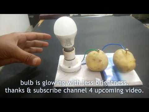 free energy light bulb || using potato