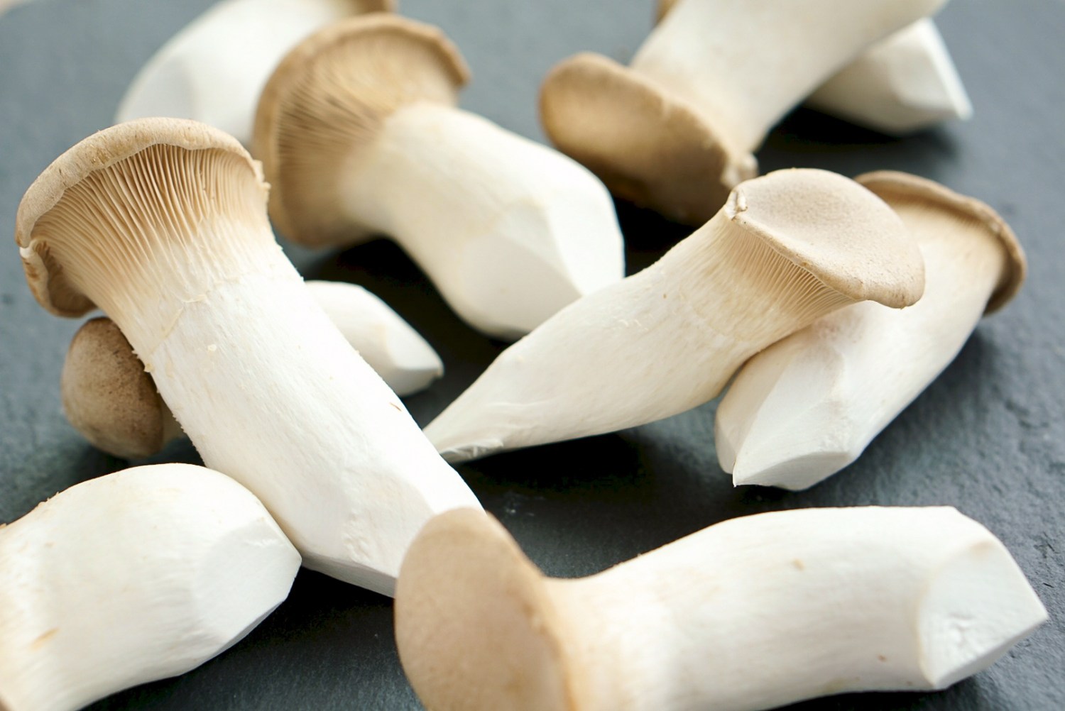 fresh-oyster-mushrooms.jpg