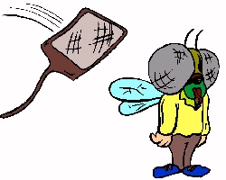 fruit fly cartoon.jpg