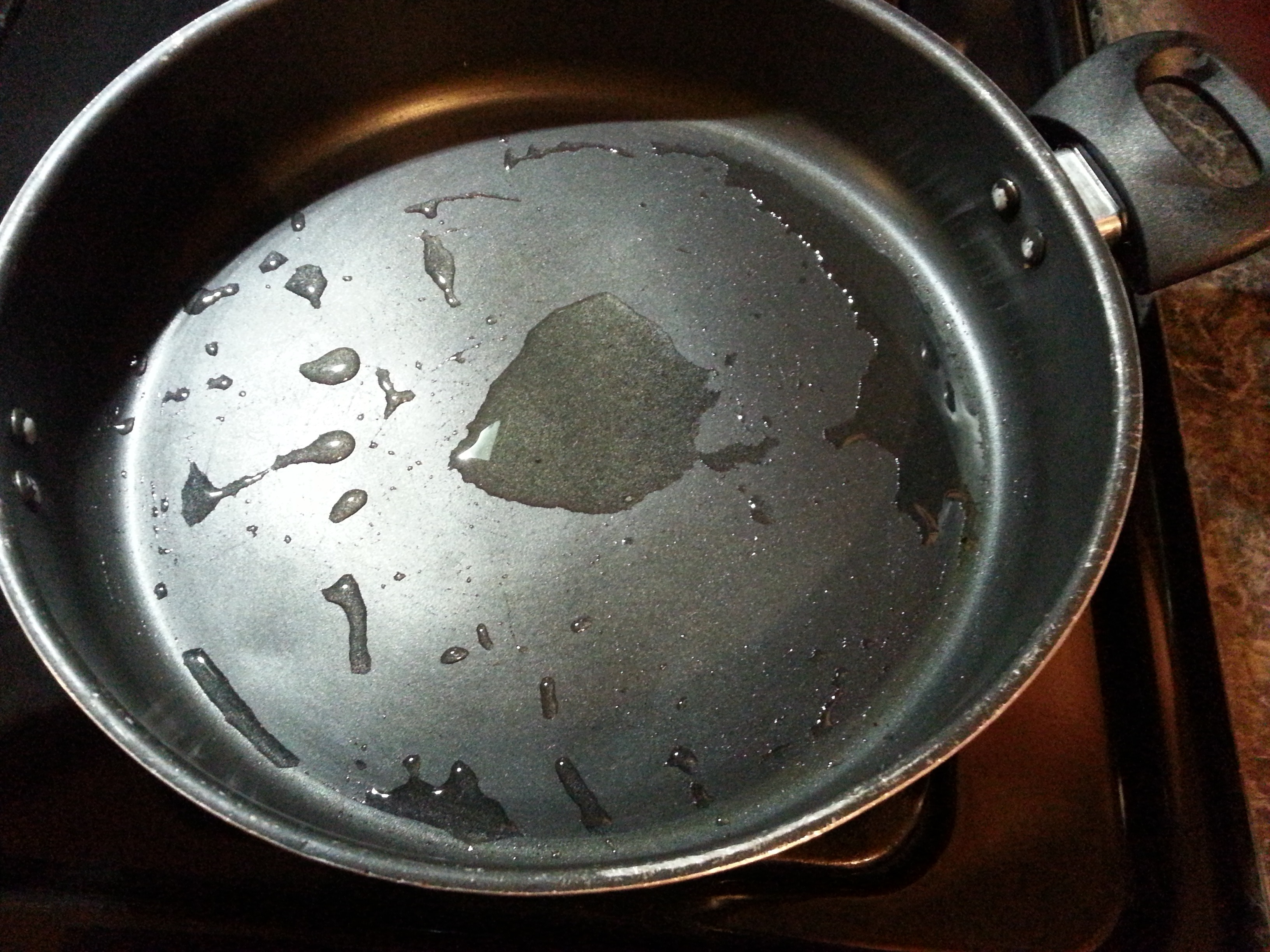 frying pan with a little bit veggie oil on the stove.jpg