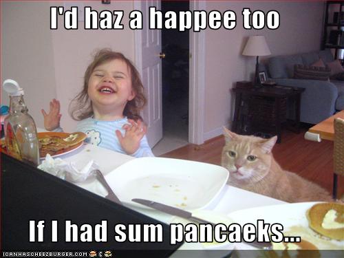 funny-pictures-cat-wants-pancakes.jpg