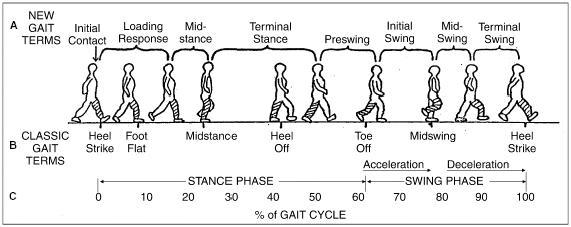 gait.jpg