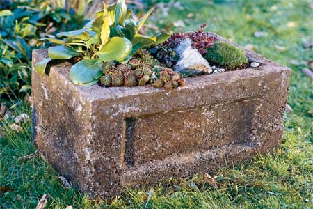 garden-trough-x.jpg