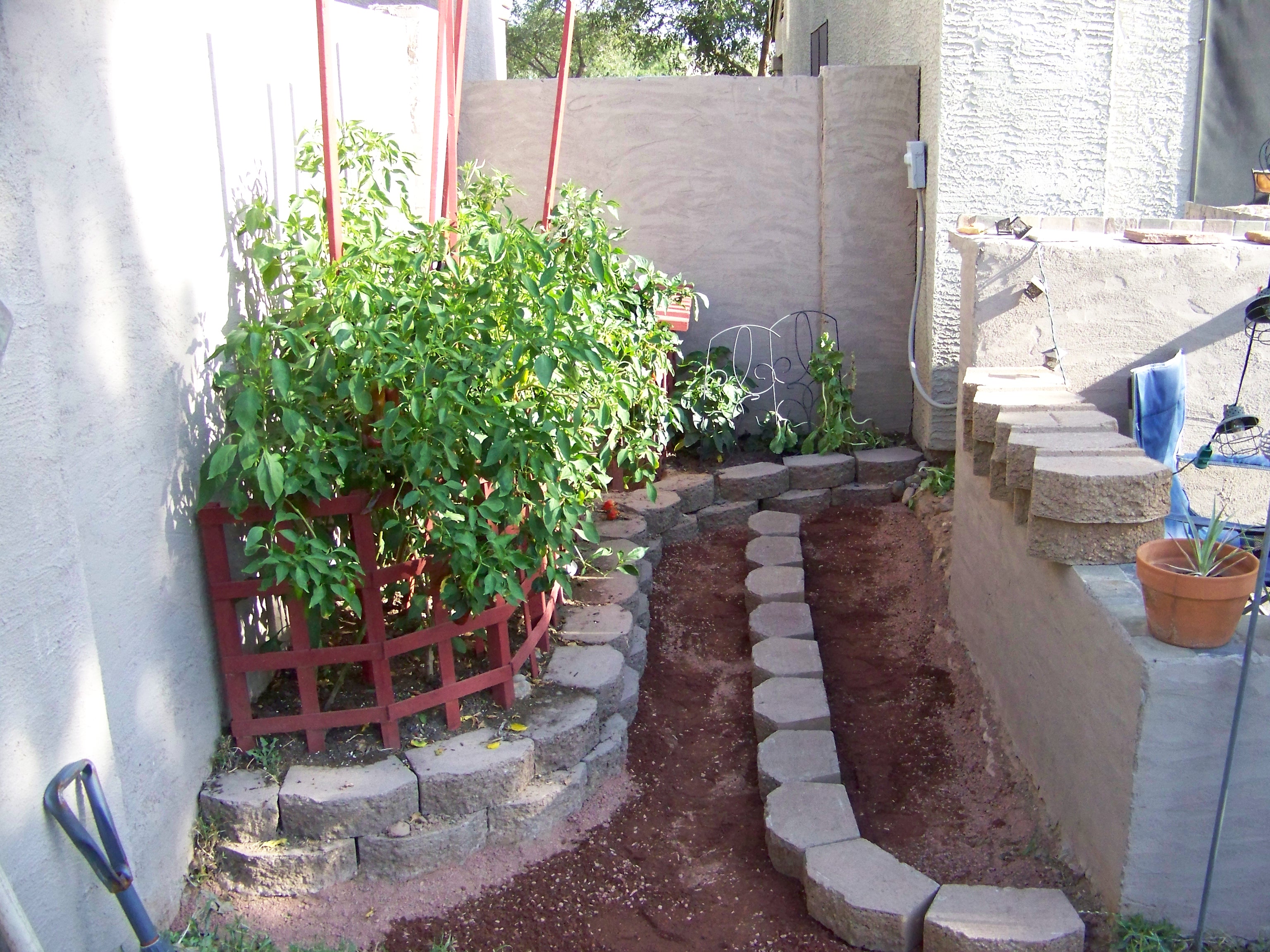 garden2.0d.JPG