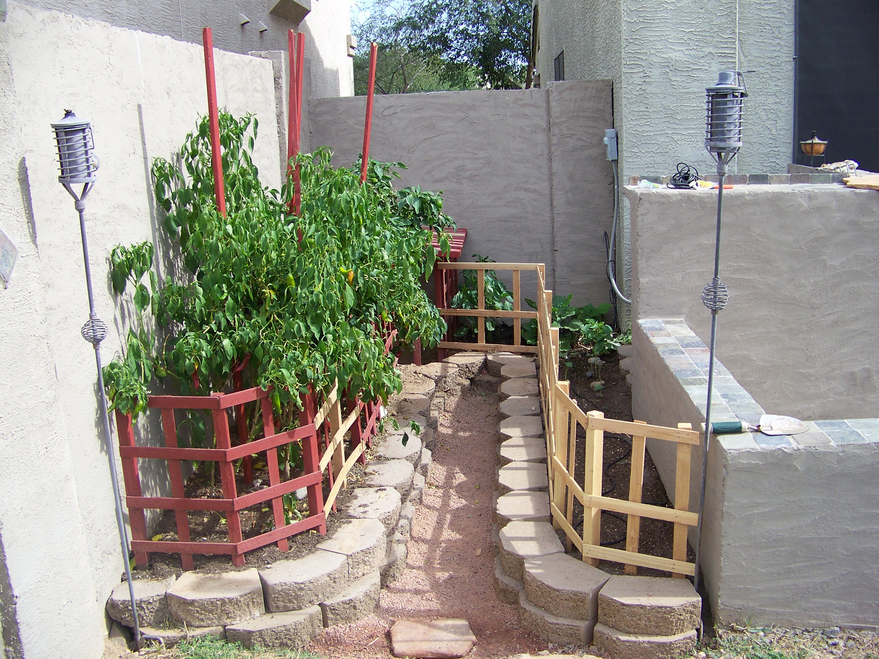 garden2.0e.JPG