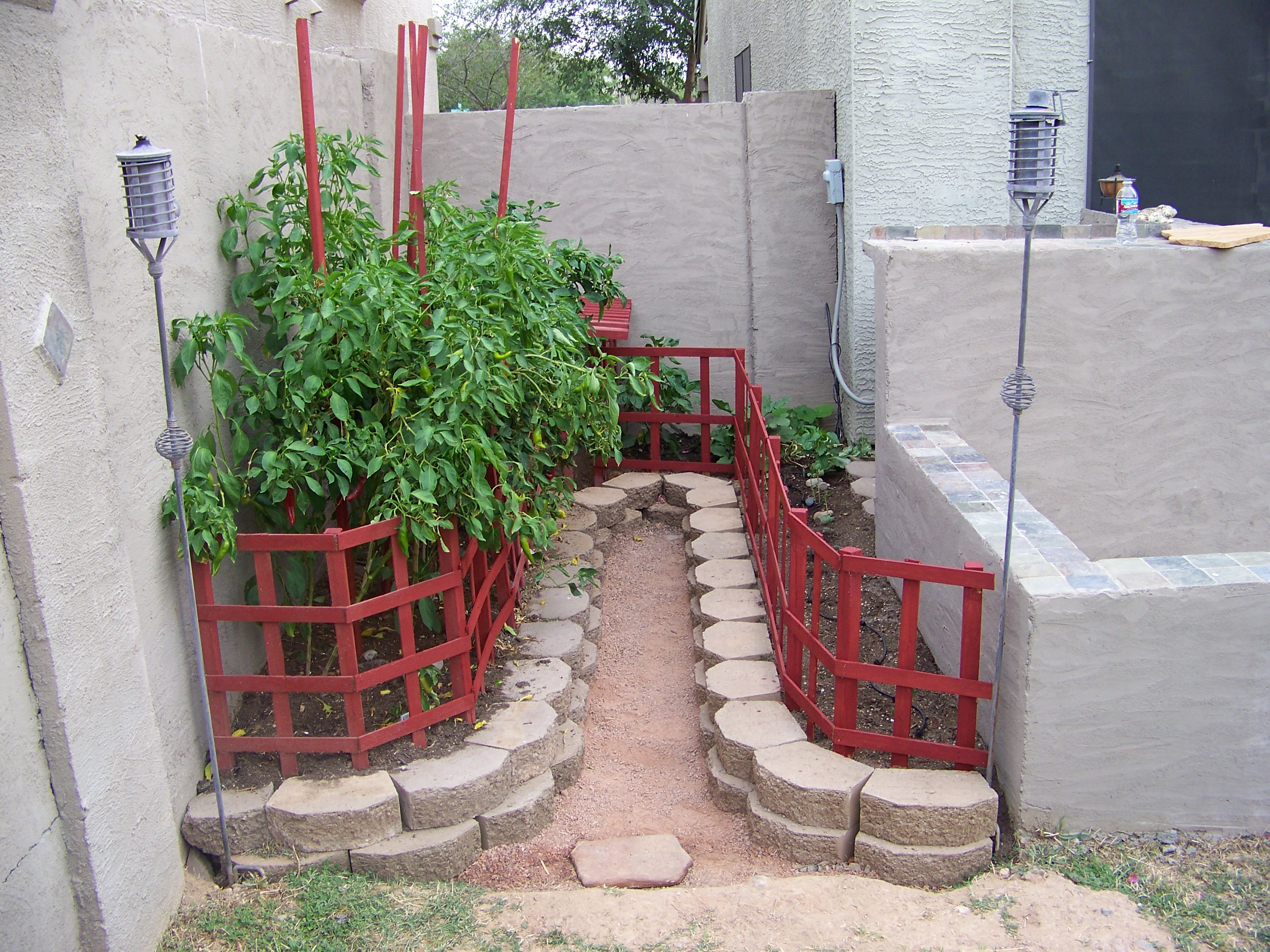 garden2.0i.JPG