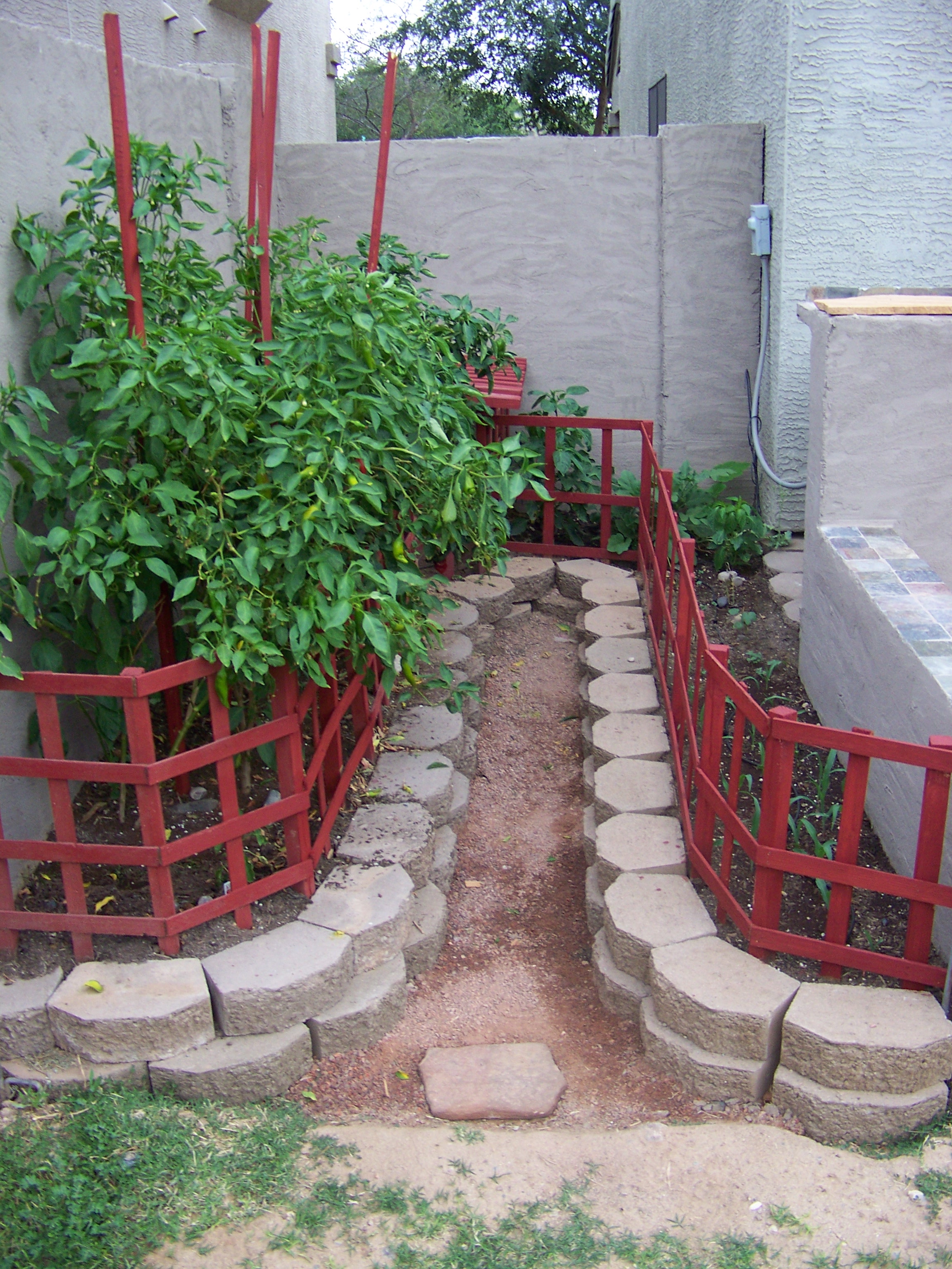 garden2.0n.JPG