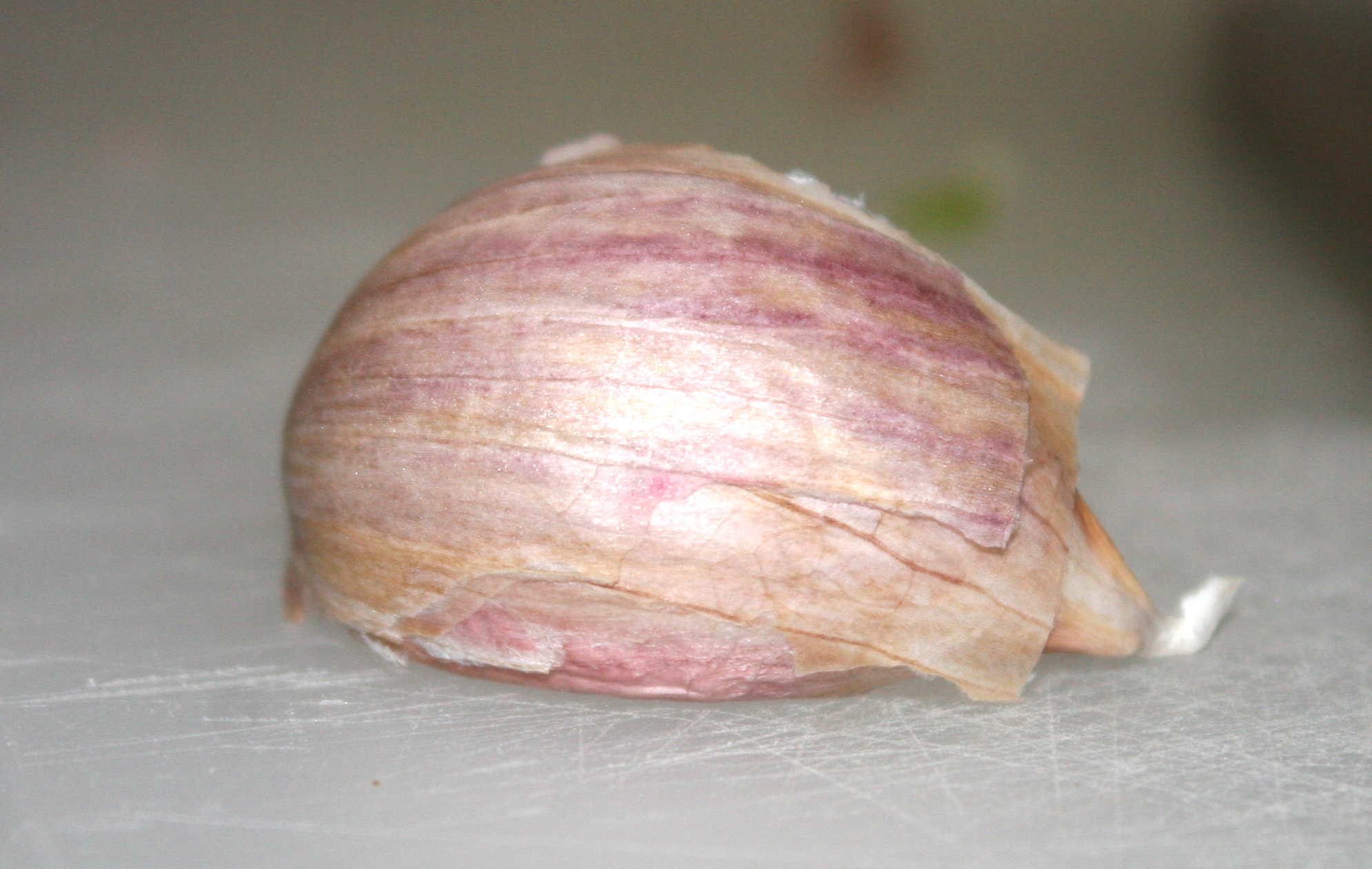 garlic-skin.jpg