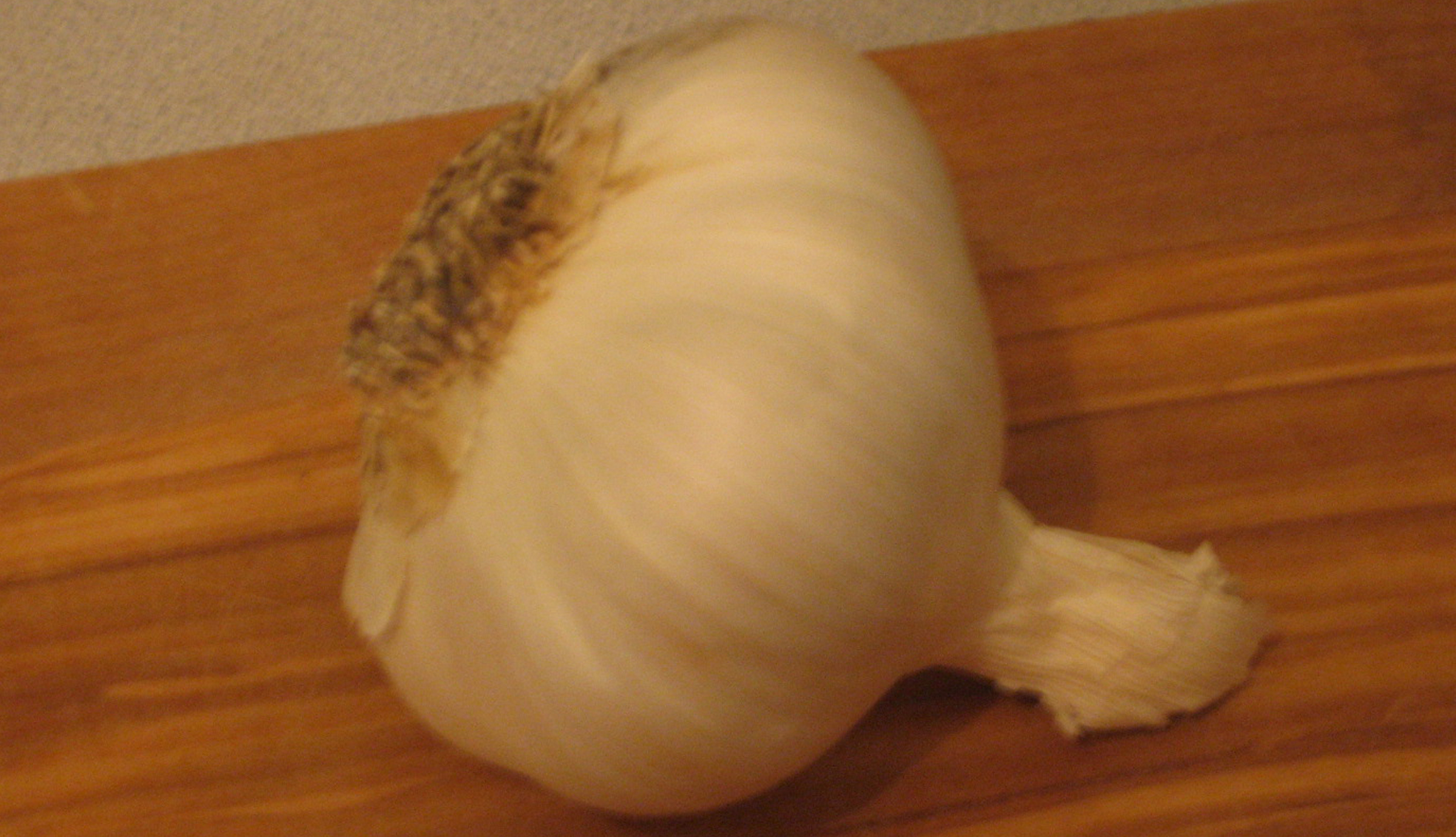 garlic1.jpg