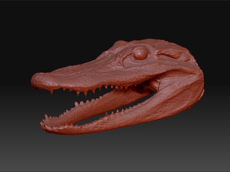 gator zbrush 1.jpg