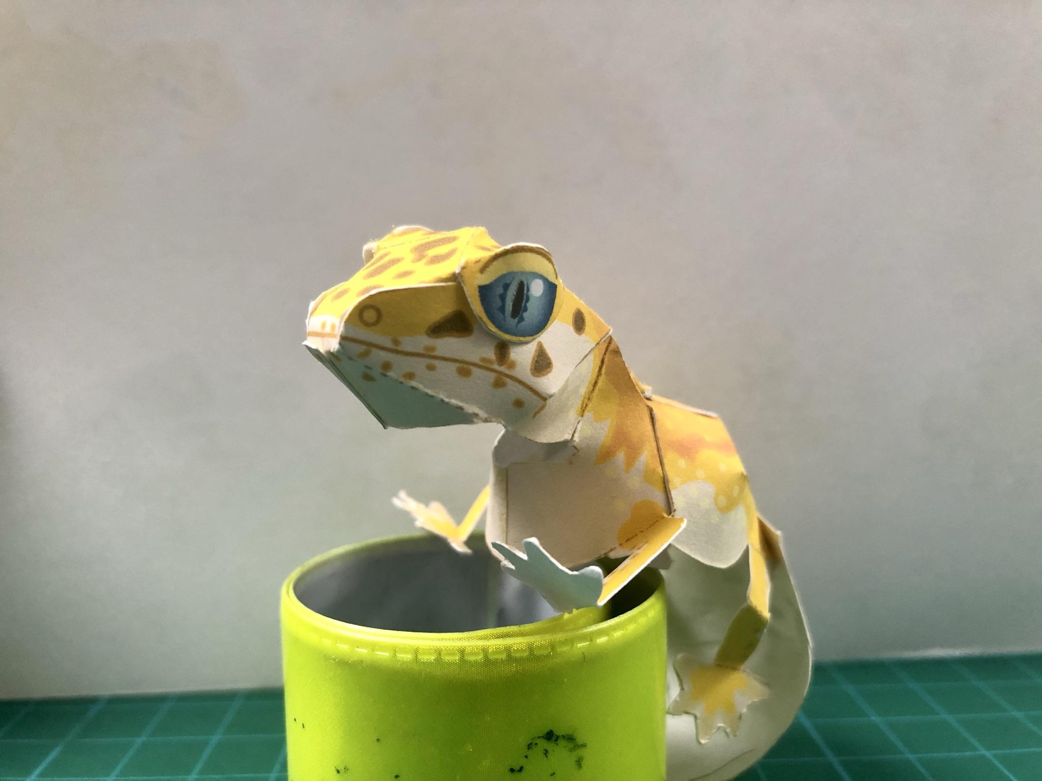 gecko.jpeg