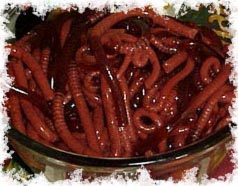 gelatin-earth-worms-halloween.jpg