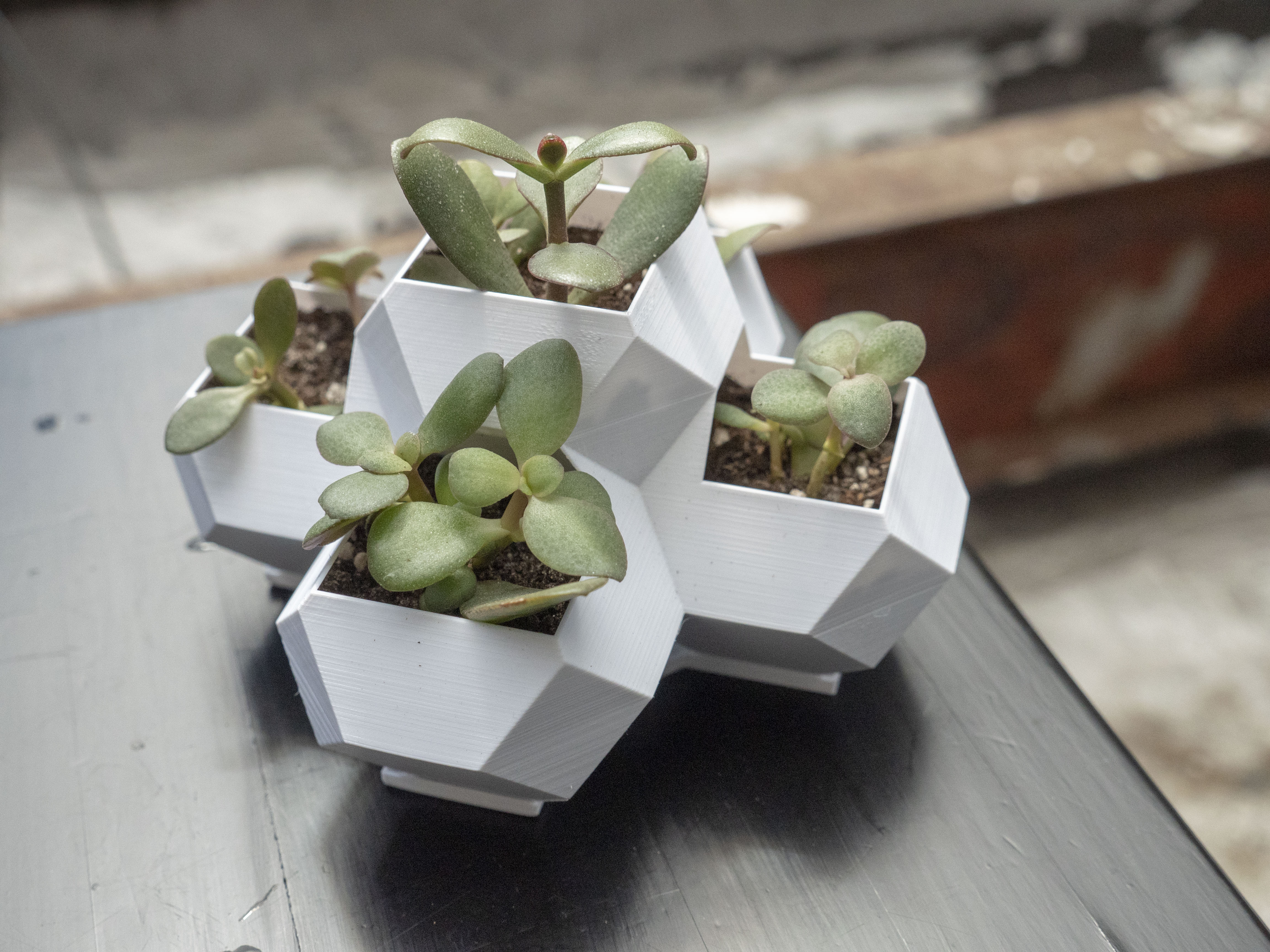 geometric-planter-05.jpg