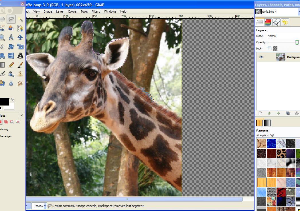 giraffe free select head cutout.JPG