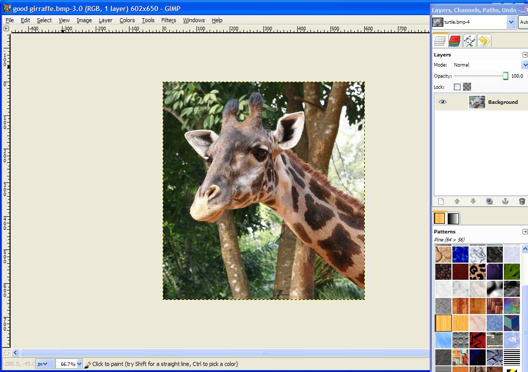 giraffe screenshot.JPG