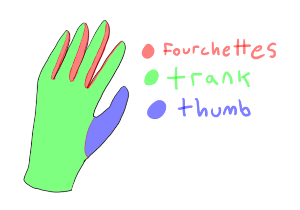 glove terminology1.png