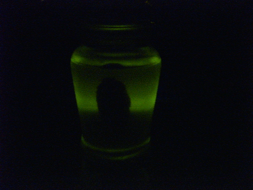 glowing jar-part8.jpg