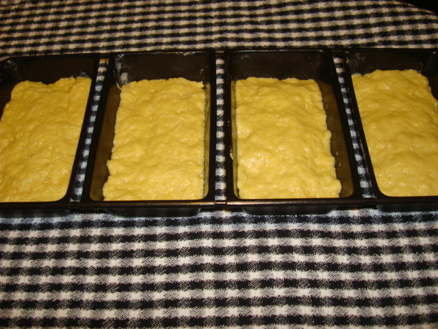 gluten free bread 018.JPG