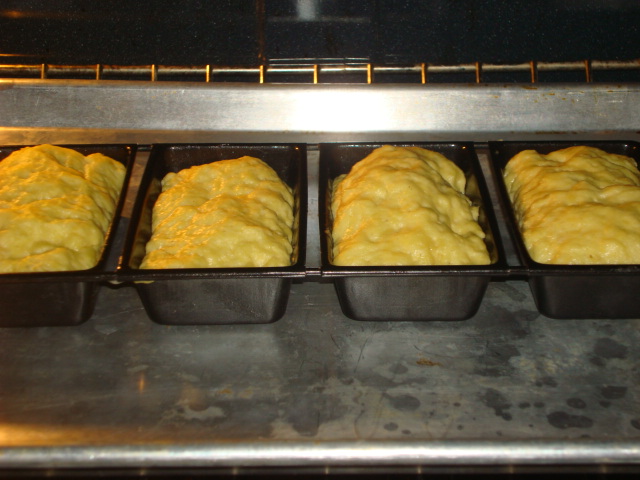 gluten free bread 020.JPG