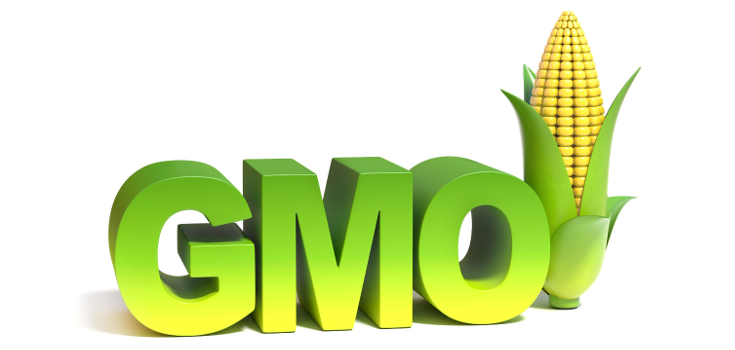 gmo-word-white-735-350.png