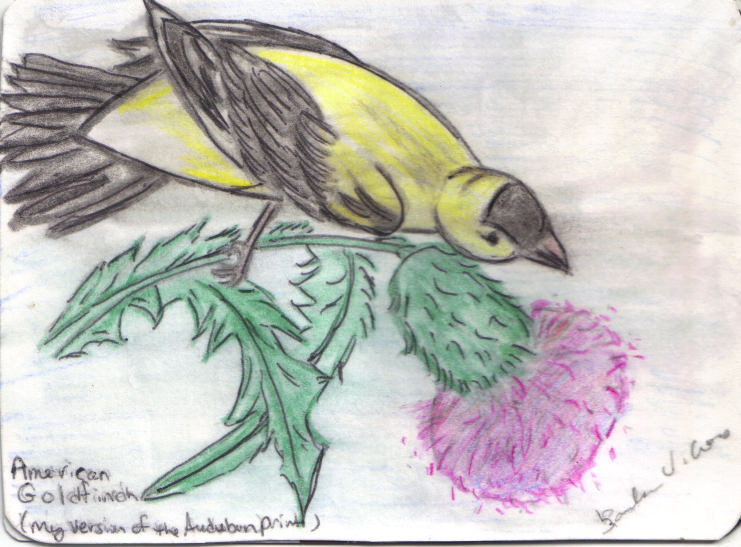 goldfinch scan.jpg