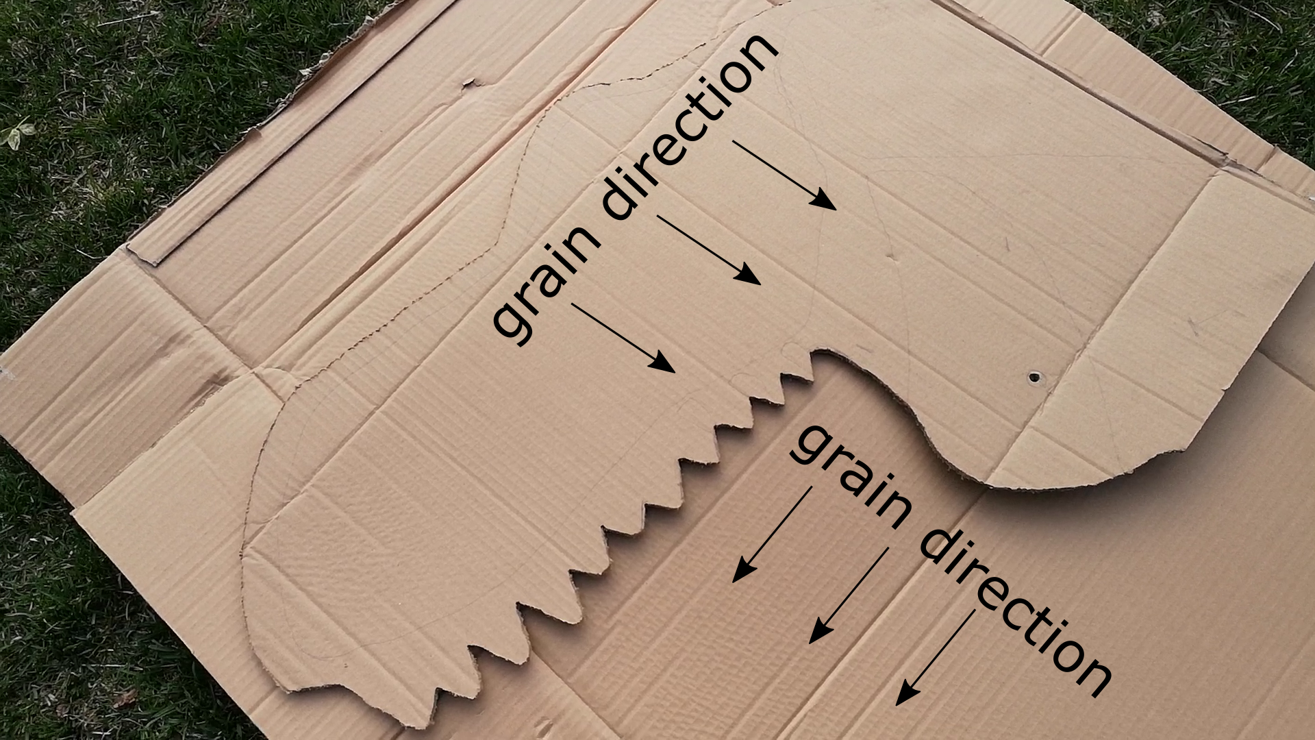 grain direction.png