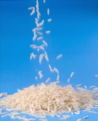 grains-falling-on-a-pile-of-uncooked-white-rice_1.jpg