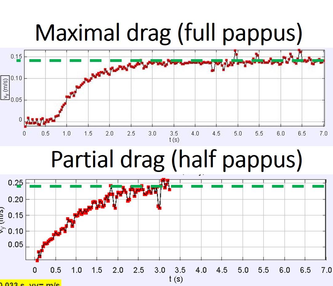 graphs.jpg