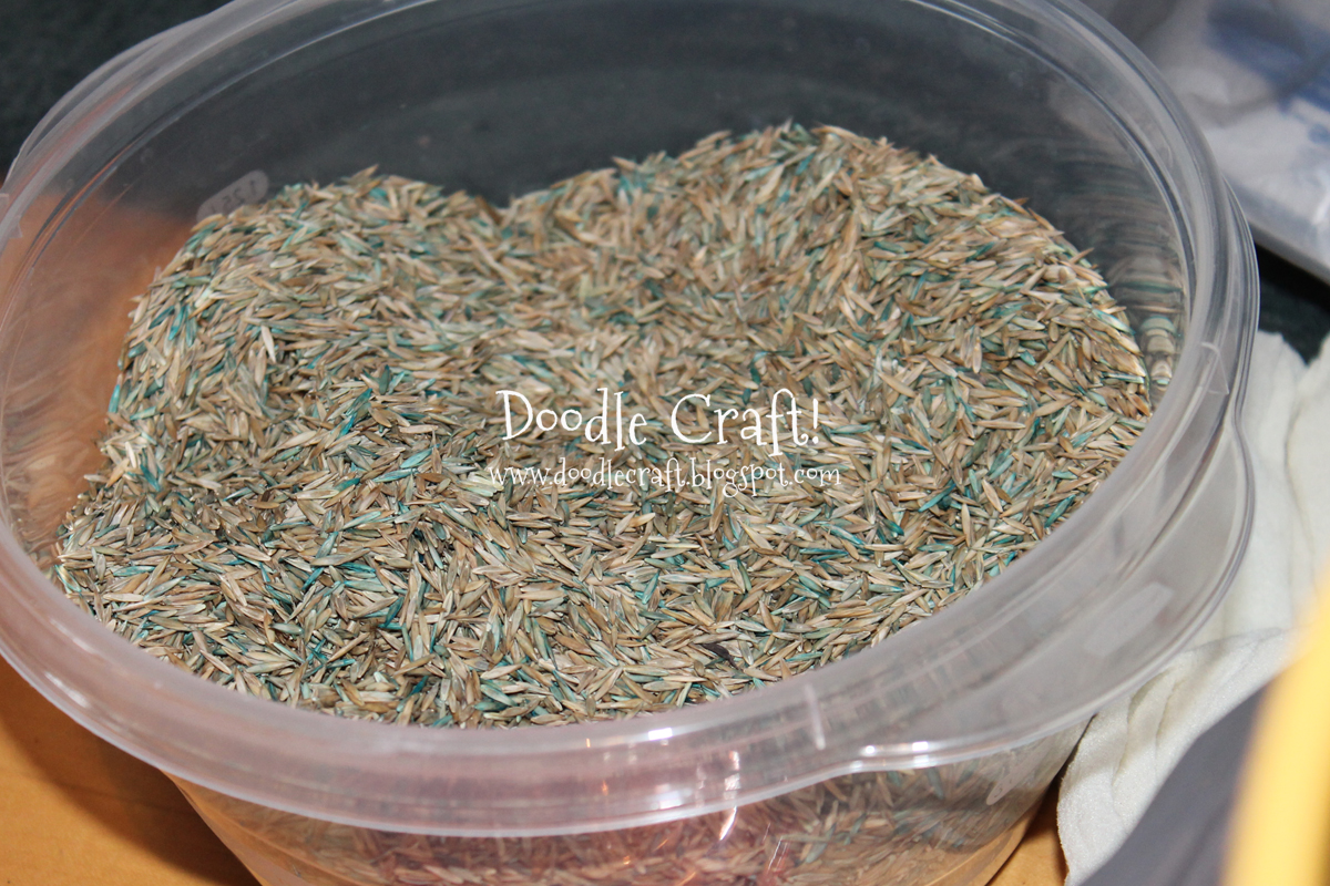 grass seed.jpg