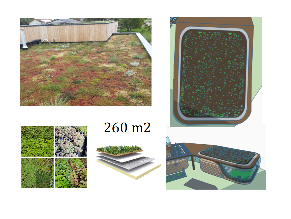 green roof.png