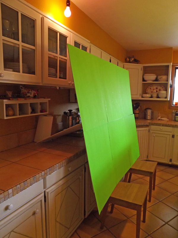 greenScreen 044.JPG