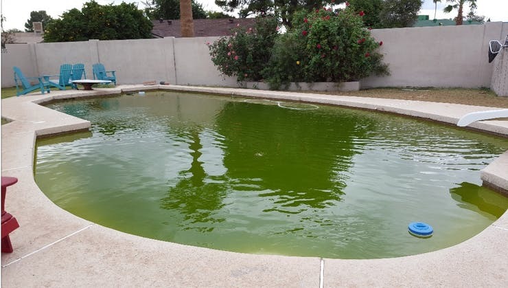 green_pool.jpg