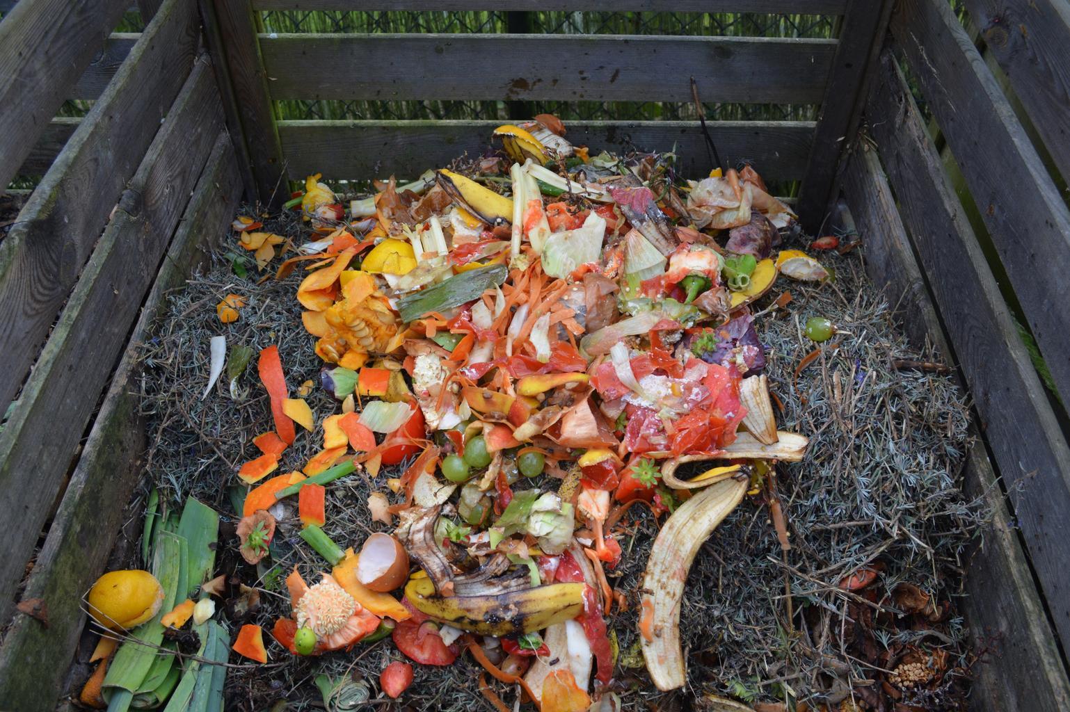 green_waste_compost_compost.jpg