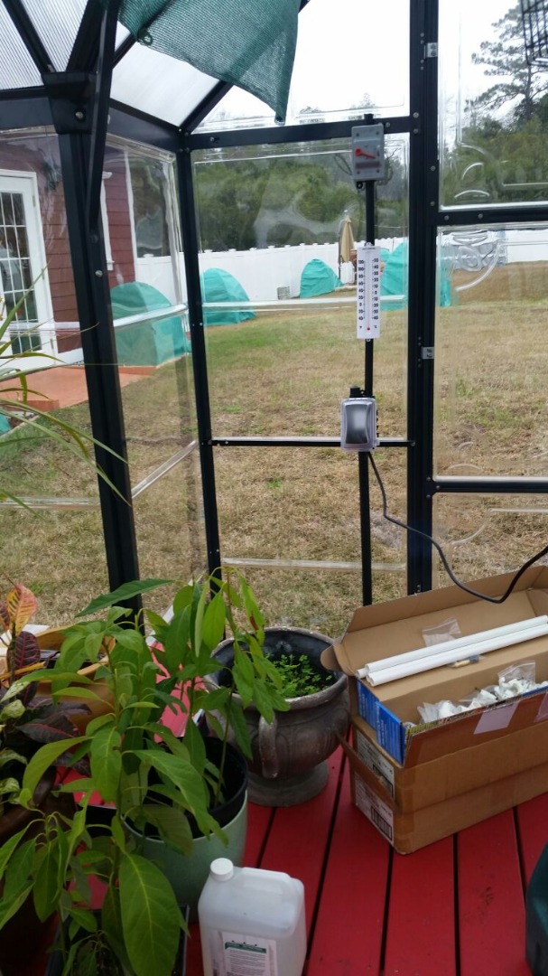 greenhouse electrical system.jpg