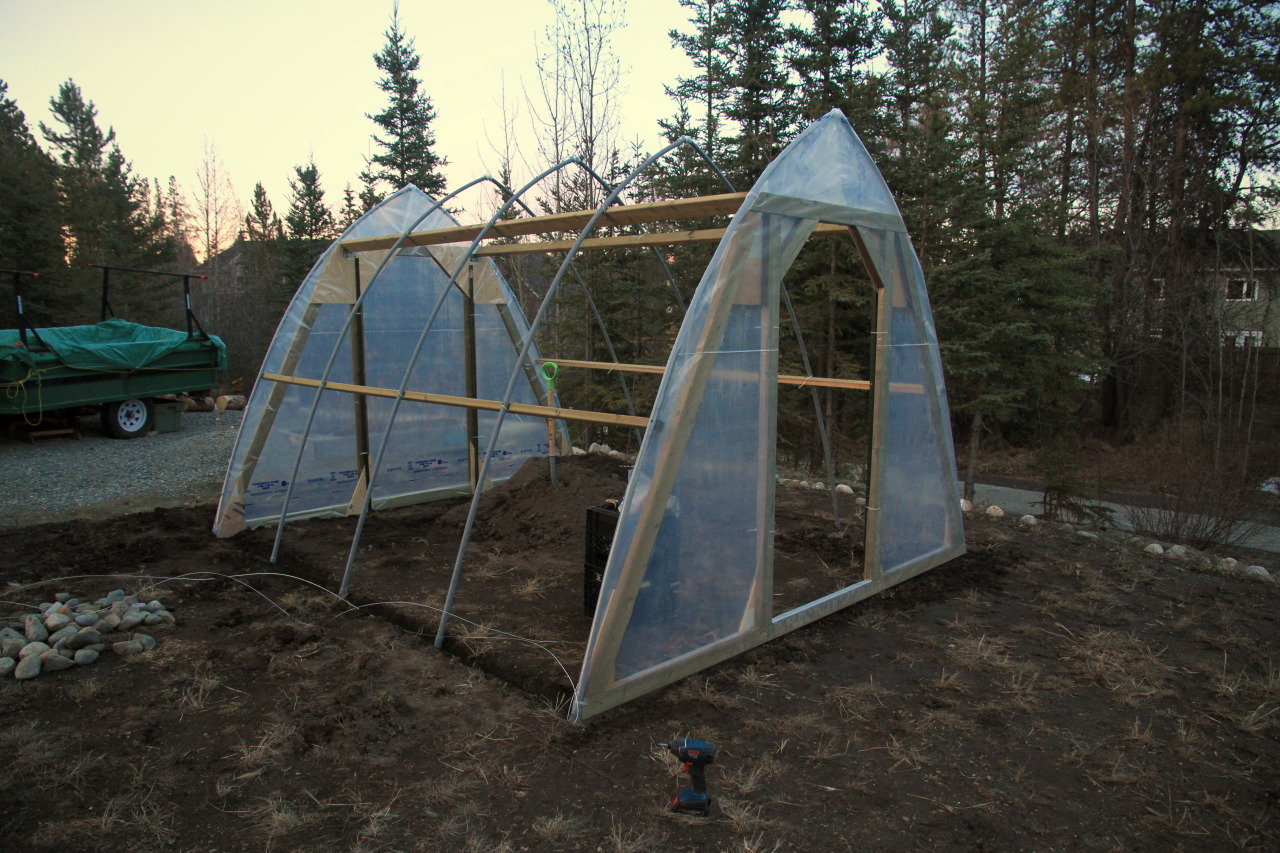 greenhouse_06.jpg