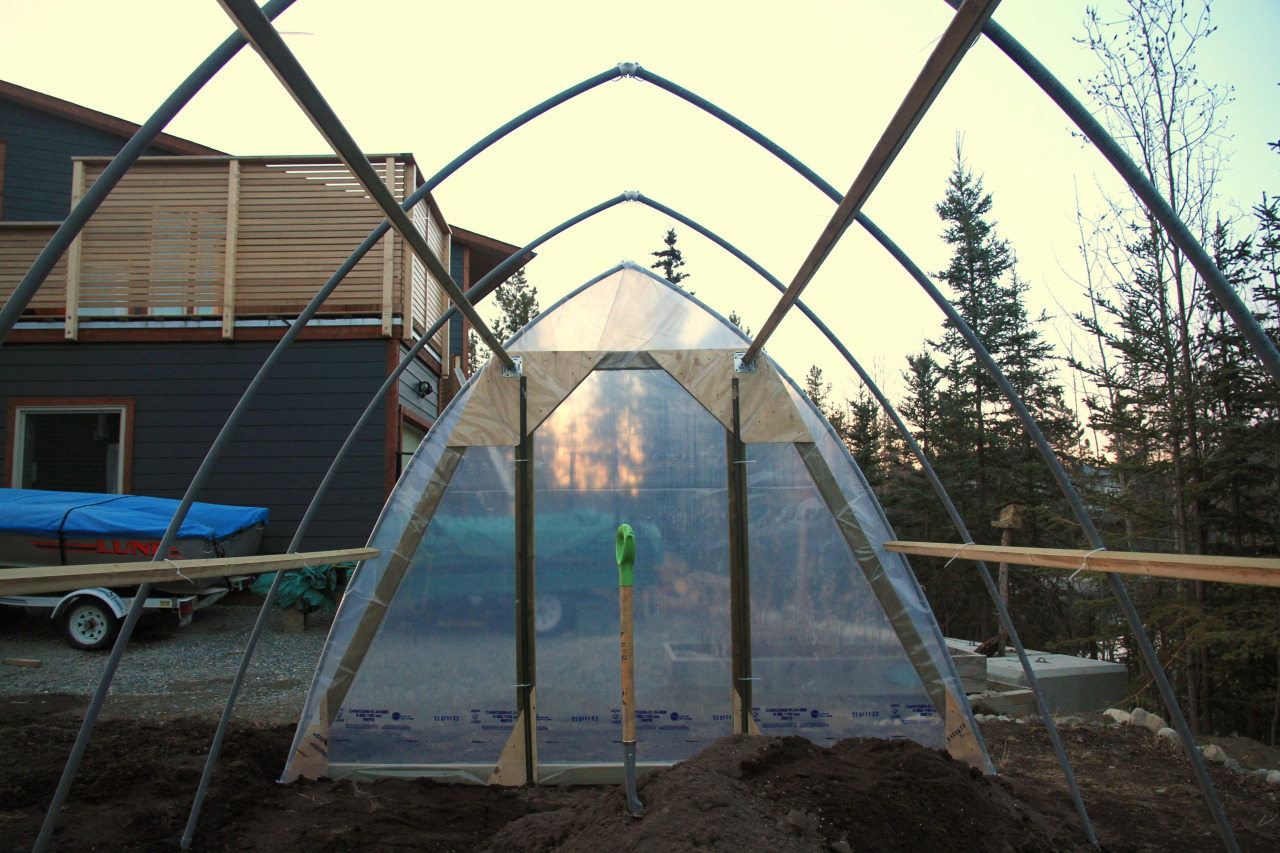 greenhouse_07.jpg