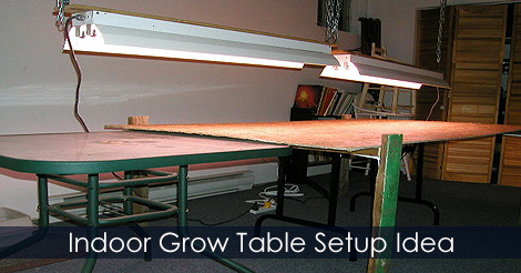 grow-table-setup.jpg