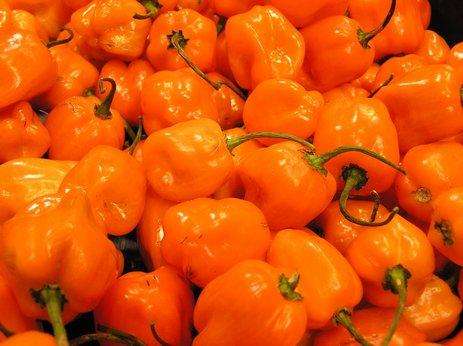 habaneros.jpg