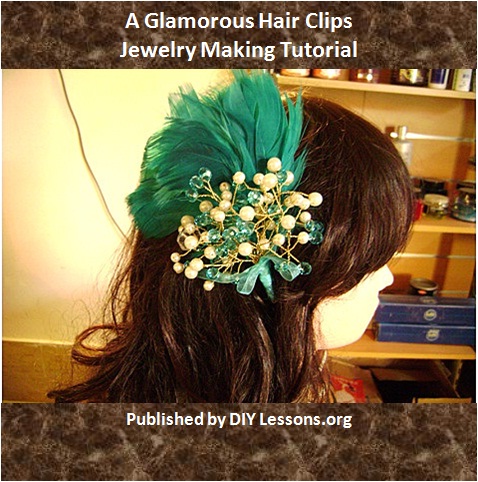 hairclip cover.jpg