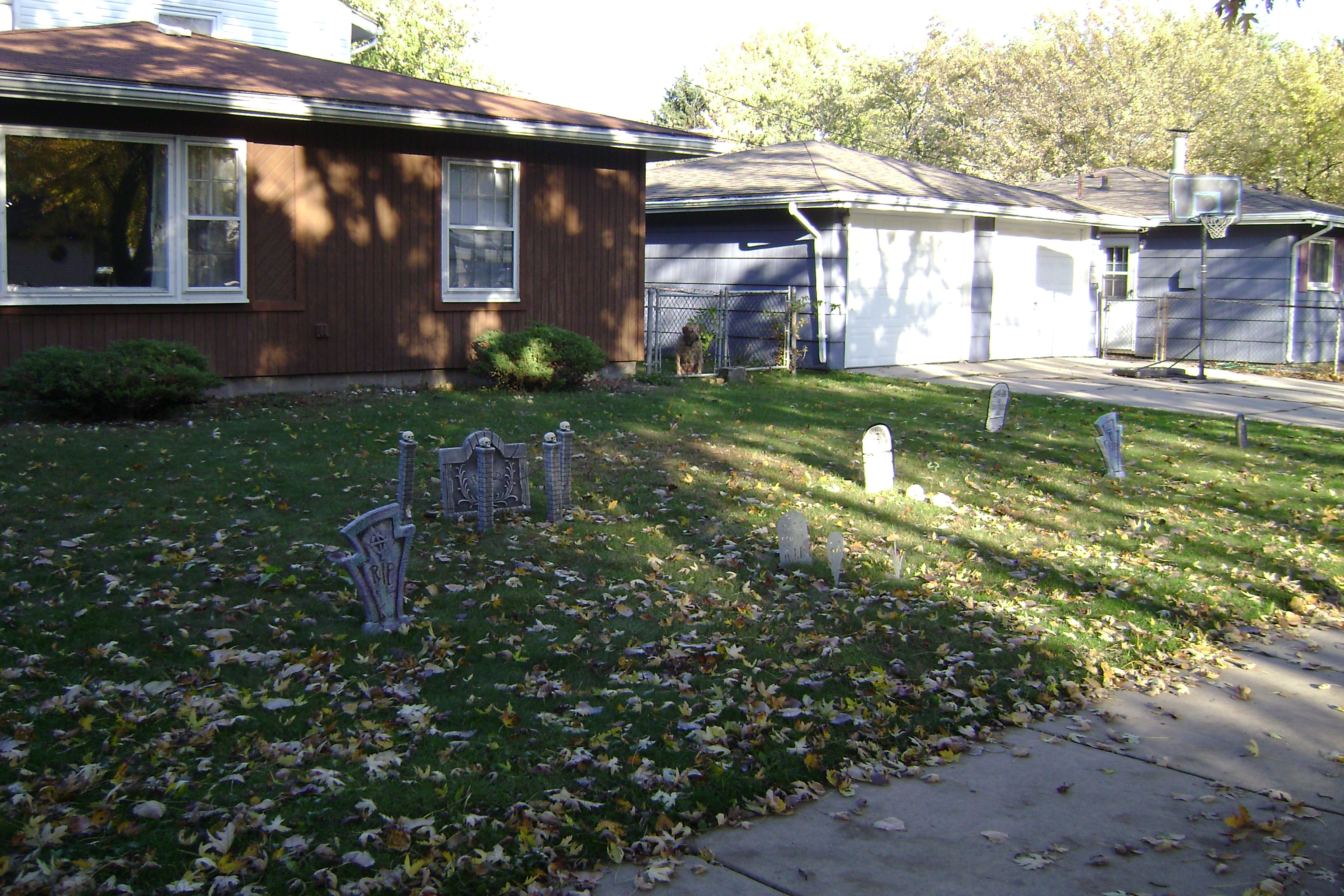 halloween2009 004.jpg