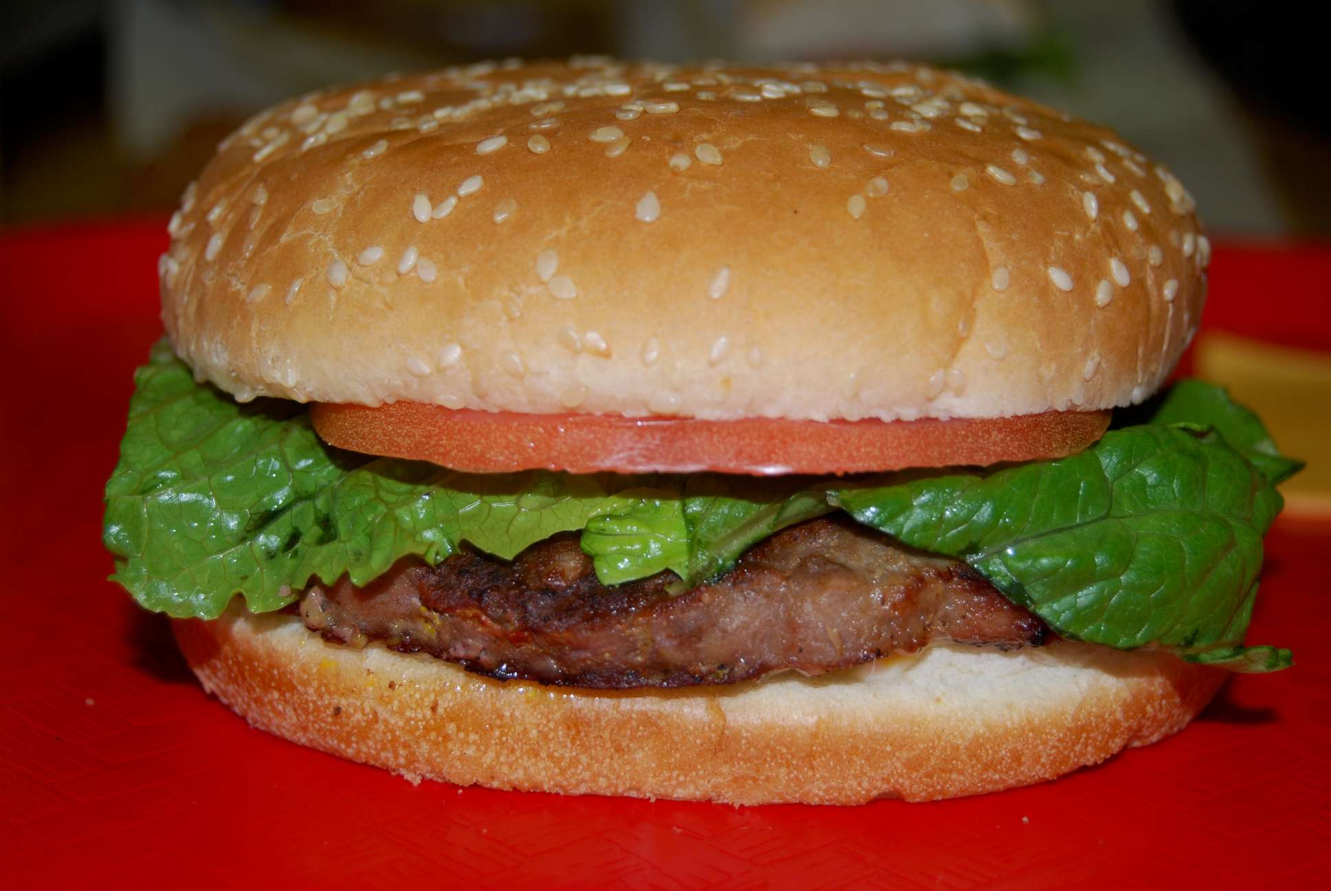 hamburger-P50.jpg