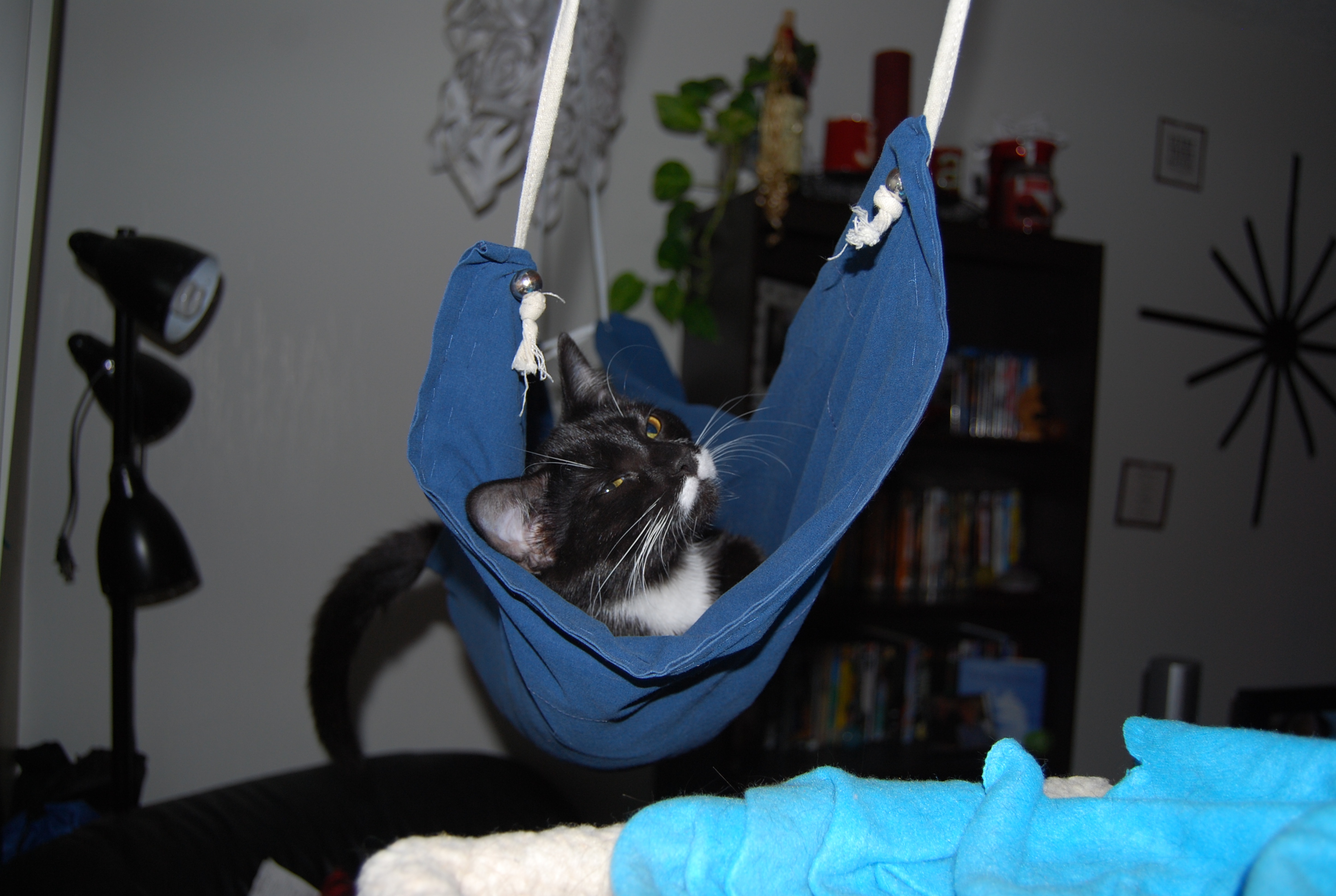 hammock5.JPG