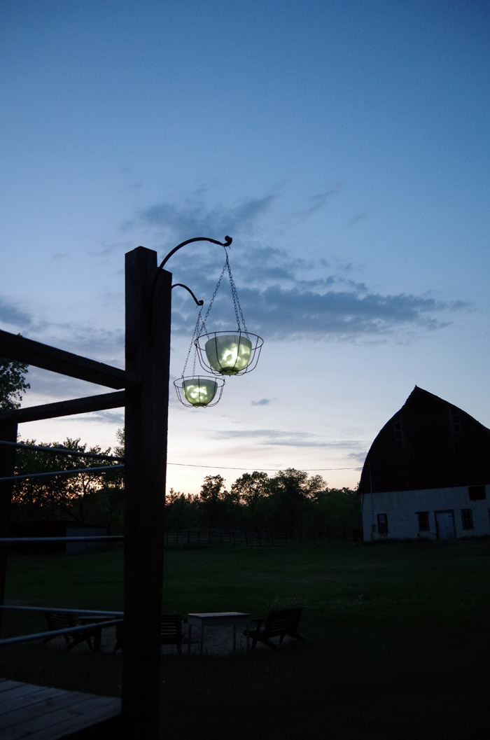 hanging-cage-dollar-store-solar-lights.jpg