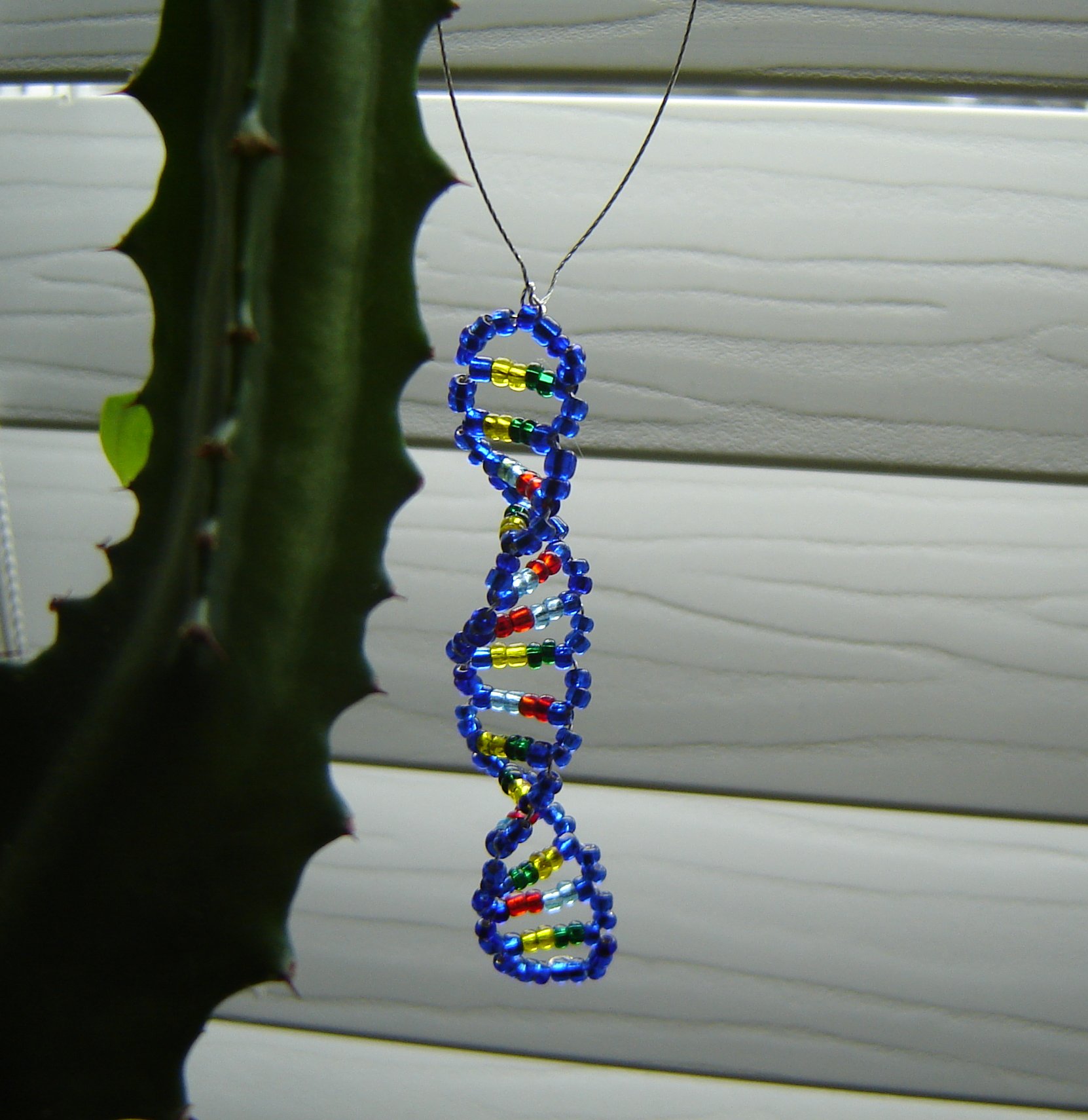 hangingdna1.jpg