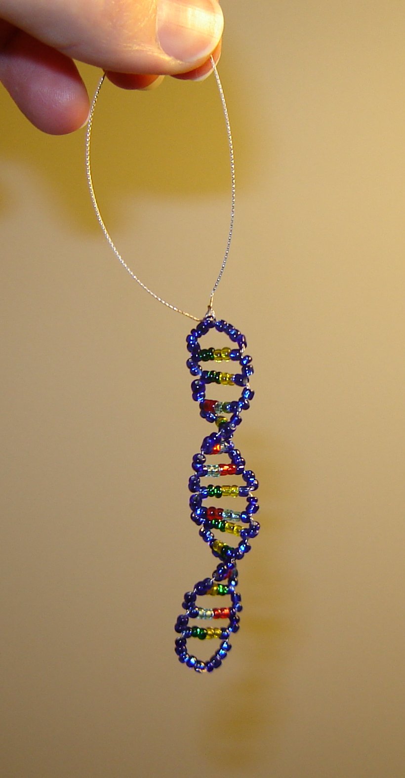 hangingdna2.jpg