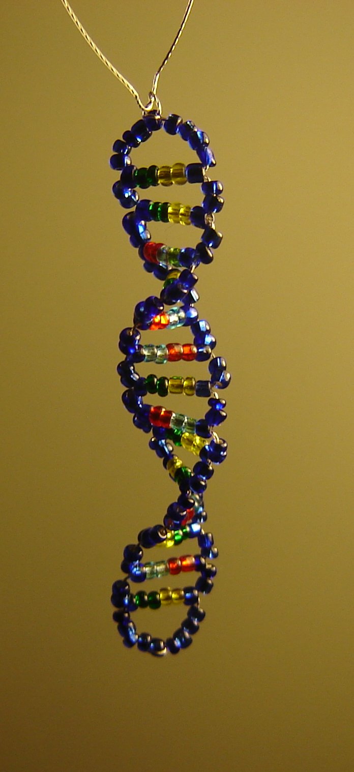 hangingdna3.jpg