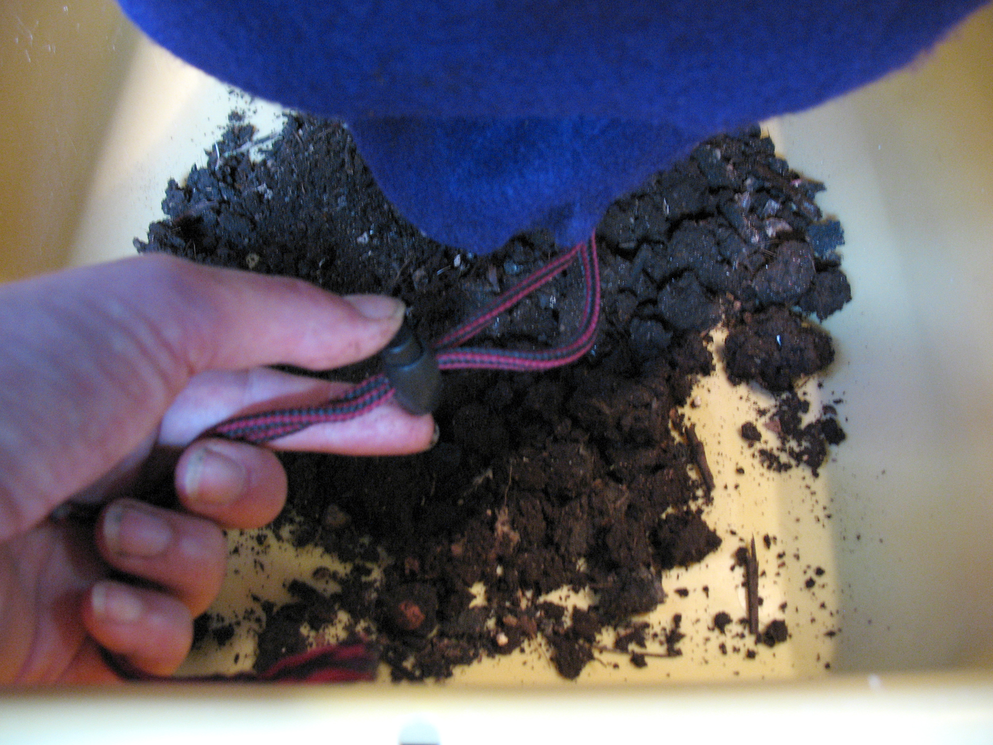 harvest compost.JPG