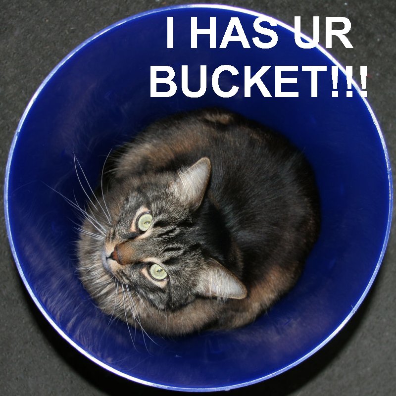 hasurbucket.jpg