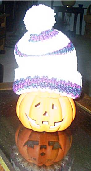 hat and pumpkin.jpg